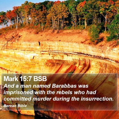 Mark 15:7 BSB Bible Verse Image