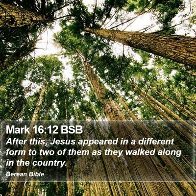Mark 16:12 BSB Bible Verse Image