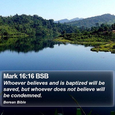 Mark 16:16 BSB Bible Verse Image