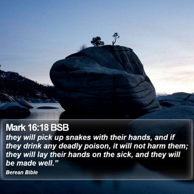 Mark 16:18 BSB Bible Verse Image