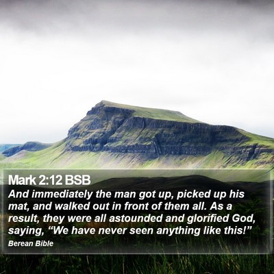 Mark 2:12 BSB Bible Verse Image