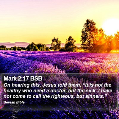 Mark 2:17 BSB Bible Verse Image