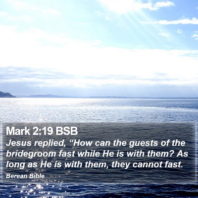 Mark 2:19 BSB Bible Verse Image