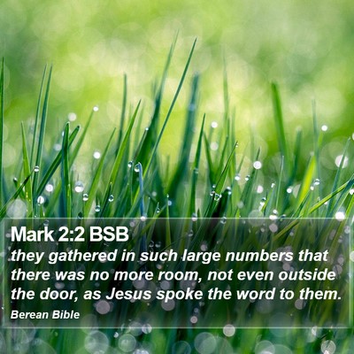 Mark 2:2 BSB Bible Verse Image