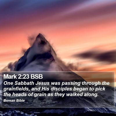 Mark 2:23 BSB Bible Verse Image