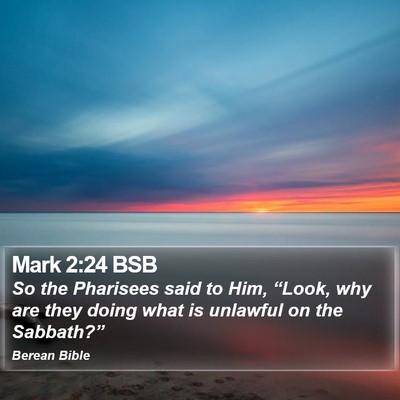 Mark 2:24 BSB Bible Verse Image