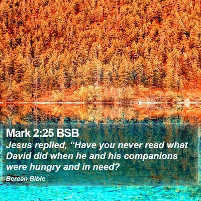 Mark 2:25 BSB Bible Verse Image