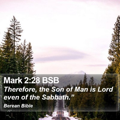 Mark 2:28 BSB Bible Verse Image
