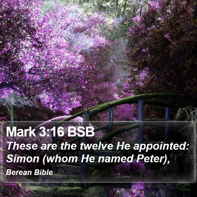 Mark 3:16 BSB Bible Verse Image