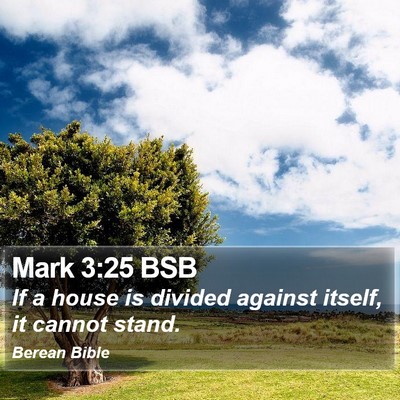 Mark 3:25 BSB Bible Verse Image