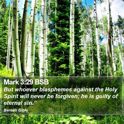 Mark 3:29 BSB Bible Verse Image