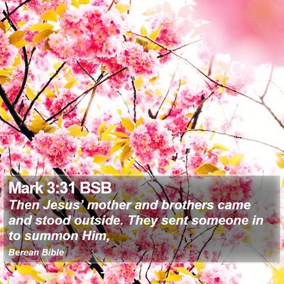 Mark 3:31 BSB Bible Verse Image