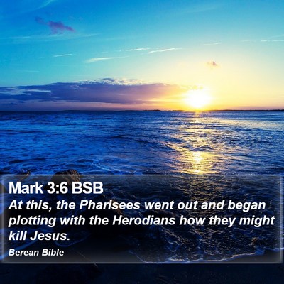 Mark 3:6 BSB Bible Verse Image