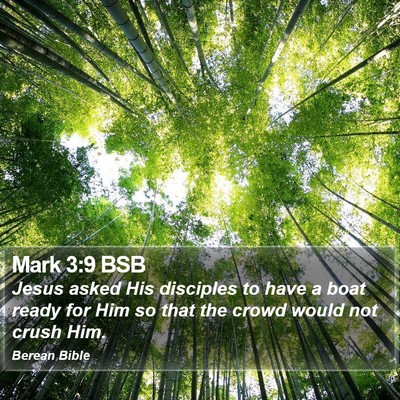 Mark 3:9 BSB Bible Verse Image