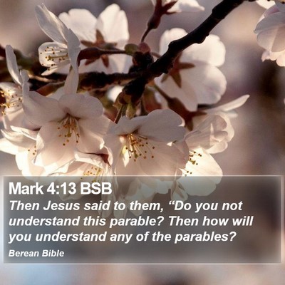 Mark 4:13 BSB Bible Verse Image