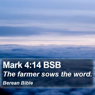Mark 4:14 BSB Bible Verse Image