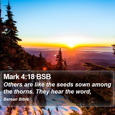 Mark 4:18 BSB Bible Verse Image