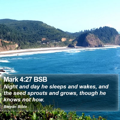 Mark 4:27 BSB Bible Verse Image