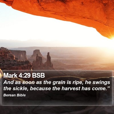 Mark 4:29 BSB Bible Verse Image
