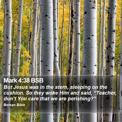 Mark 4:38 BSB Bible Verse Image