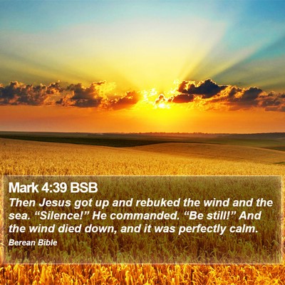 Mark 4:39 BSB Bible Verse Image