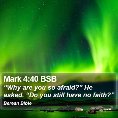 Mark 4:40 BSB Bible Verse Image