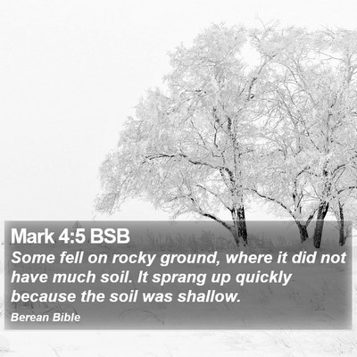 Mark 4:5 BSB Bible Verse Image