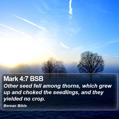 Mark 4:7 BSB Bible Verse Image