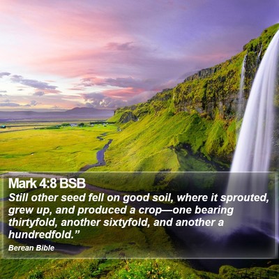 Mark 4:8 BSB Bible Verse Image