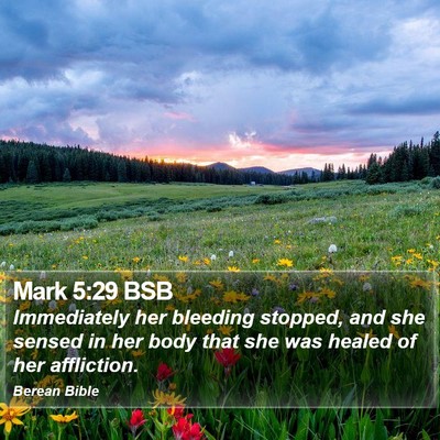 Mark 5:29 BSB Bible Verse Image