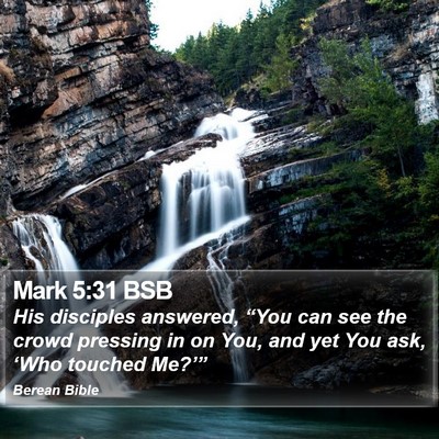 Mark 5:31 BSB Bible Verse Image