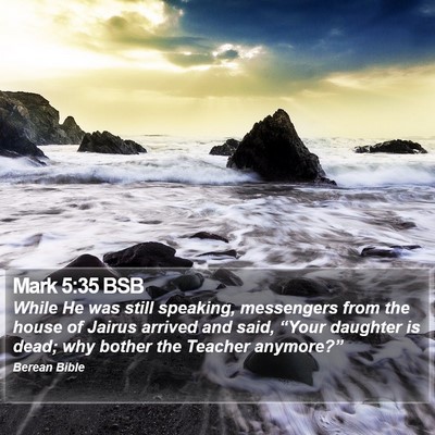 Mark 5:35 BSB Bible Verse Image