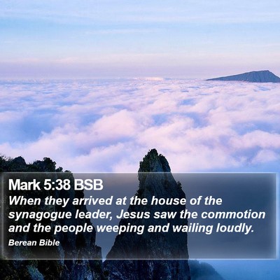 Mark 5:38 BSB Bible Verse Image