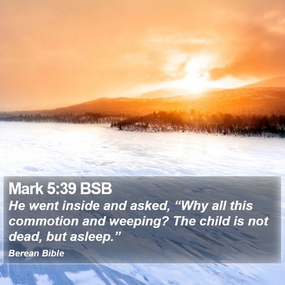 Mark 5:39 BSB Bible Verse Image