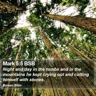 Mark 5:5 BSB Bible Verse Image