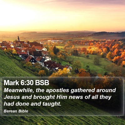 Mark 6:30 BSB Bible Verse Image