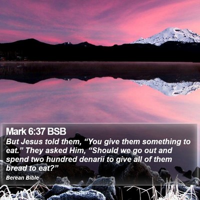 Mark 6:37 BSB Bible Verse Image