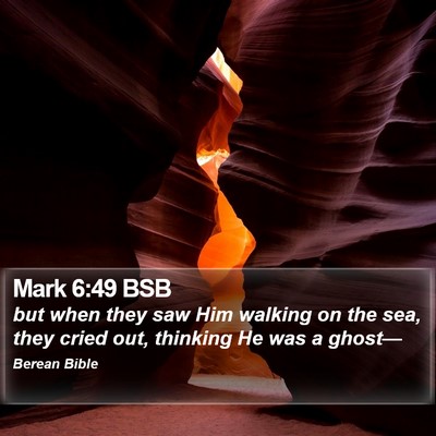 Mark 6:49 BSB Bible Verse Image