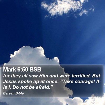 Mark 6:50 BSB Bible Verse Image