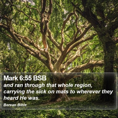 Mark 6:55 BSB Bible Verse Image