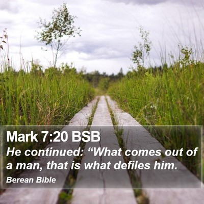 Mark 7:20 BSB Bible Verse Image