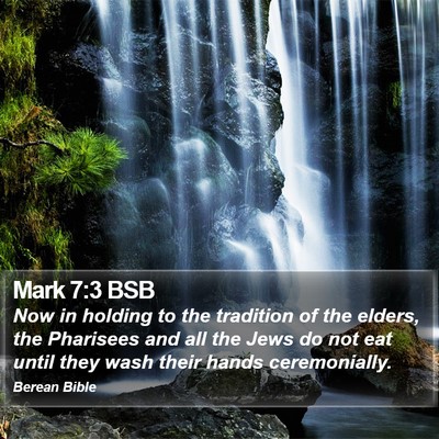Mark 7:3 BSB Bible Verse Image