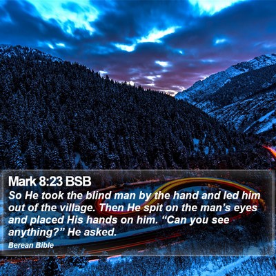 Mark 8:23 BSB Bible Verse Image