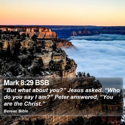 Mark 8:29 BSB Bible Verse Image
