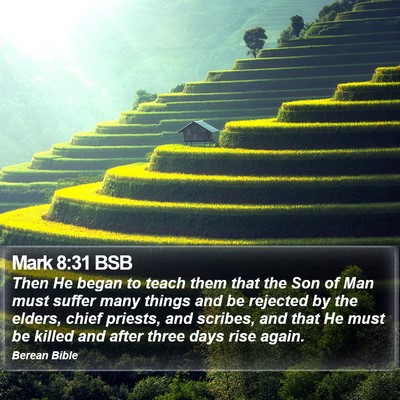 Mark 8:31 BSB Bible Verse Image