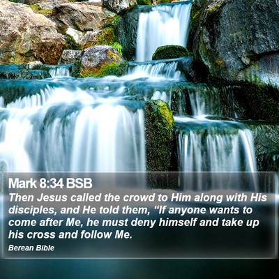 Mark 8:34 BSB Bible Verse Image