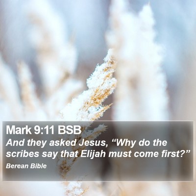 Mark 9:11 BSB Bible Verse Image