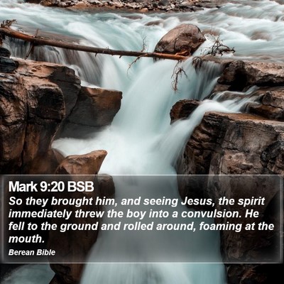 Mark 9:20 BSB Bible Verse Image