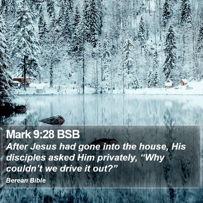Mark 9:28 BSB Bible Verse Image