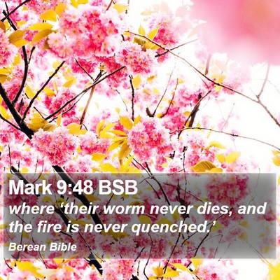 Mark 9:48 BSB Bible Verse Image